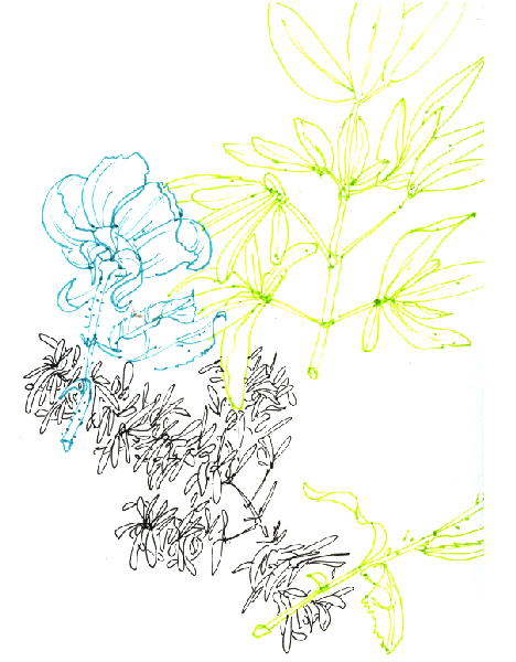 01_Végétation_Tricolore_N